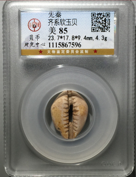 先秦贝币 齐系软玉贝 23.717.89.4mm,4.3g 评级等级 公博评级 美 85